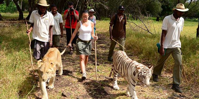 Casela nature park mauritius (9)